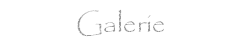 Galerie Catcher